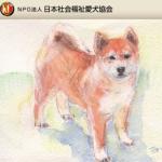 特定非営利活動法人日本社会福祉愛犬協会 /KCジャパン