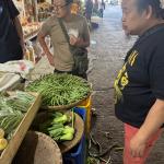 パンク町田が噛まれた‼️